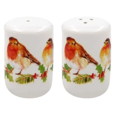 Image of Winter Robin Design Fine China Salt and Pepper Shaker Pots