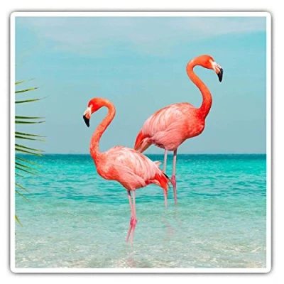 Image of Square Stickers (Set of 2) 10cm Pink Flamingos Beach Ocean Laptop Tablet Luggage Scrapbook #2053