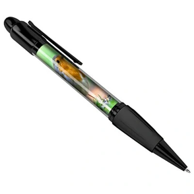 Image of DV DESIGN Beautiful Red Robin Art Print Black Ballpoint Pen Student #15509