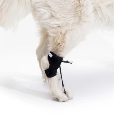 Image of Ortocanis Proprioceptive Corrector for Dogs with Sciatic Nerve Injuries, Myelopathy and Spinal Size S
