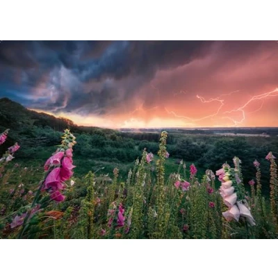 Image of Ravensburger 12000793 Dreamy Thunder 1000 pieces jigsaw Puzzle for adults and kids age 14 years up,