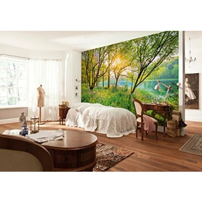 Image of Komar 8 524 368 x 254 cm National Geographic Spring Lake Lakeside Scenic Wallpaper Mural Green (Pack of 8)