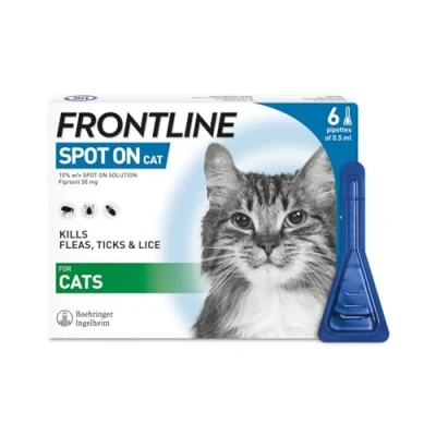 Image of FRONTLINE Spot On Flea &amp; Tick Treatment for Cats 6 Pipettes (Pack of 1)