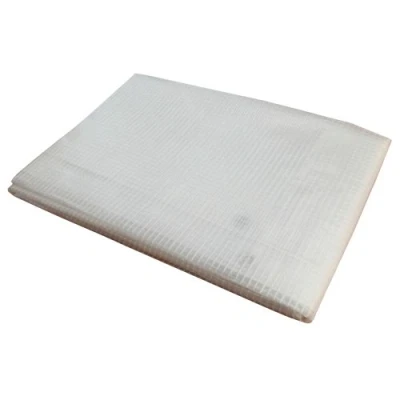 Image of Tarpaflex 3m x 4m Clear Woven Heavy Duty Extra Strong Mono Cover Tarp/Tarpaulin