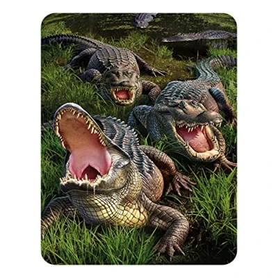 Image of 3D LiveLife Magnet Gator Bog from Deluxebase. Lenticular Alligator Fridge Magnet. Magnetic decor for kids and adults with artwork licensed renowned artist, Jerry LoFaro