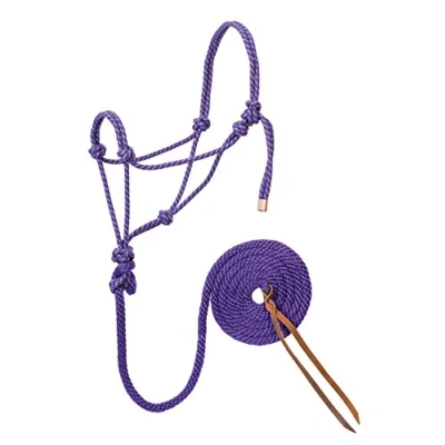 Image of Weaver Leather Diamond Braid Rope Halter and Lead Purple/Mint/White, Average