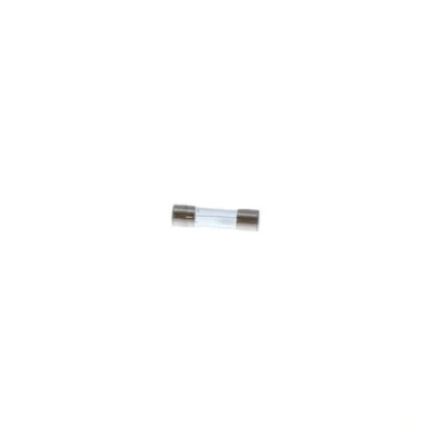 Image of Worcester Bosch 87161560010 Fuse 1.25 Amp Anti Surge 20mm X 5Mm