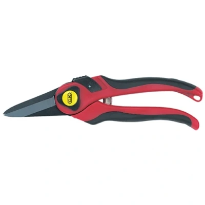 Image of C.K Maxima Pruning Snips