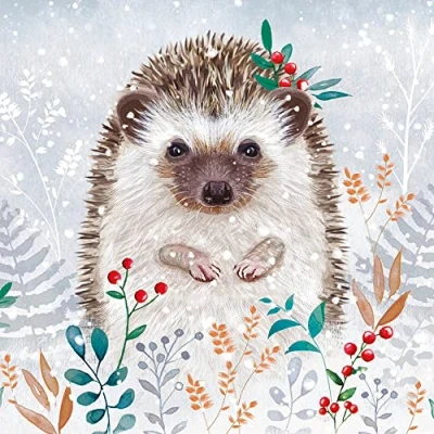 Image of Museums &amp; Galleries Pack of 8 Artistic Charity Christmas Cards Winter Foliage Hedgehog Snowy Scene, multi, 160 x mm