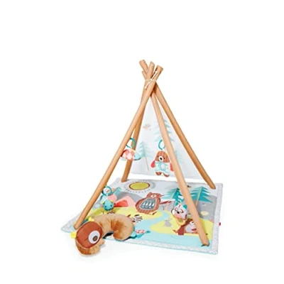 Image of Skip Hop Activity Gym (Camping Cubs)