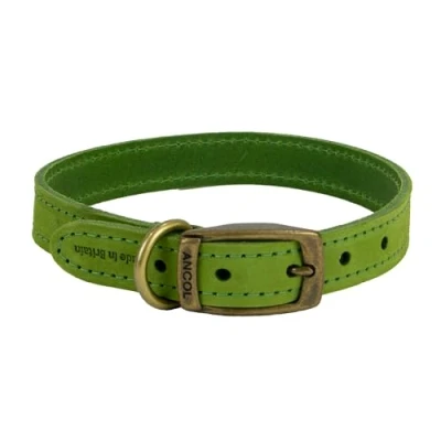 Image of Ancol Comfortable Durable Safe Leather Green Collar Pet Training Accessory 26 31 cm, Size 2