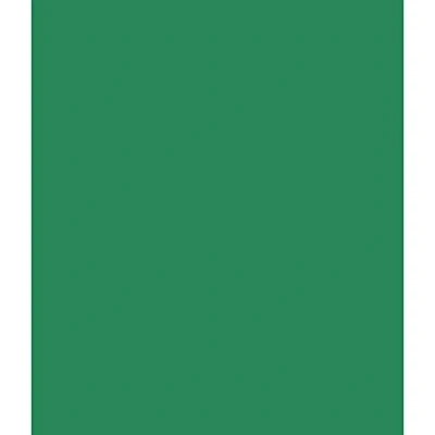 Image of 25 X Forest Green A4 Vanguard Card V13 240gsm