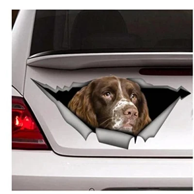Image of LIUWW Car Stickers For Dog Funny Springer Spaniel Decal, Sticker（15Cm）