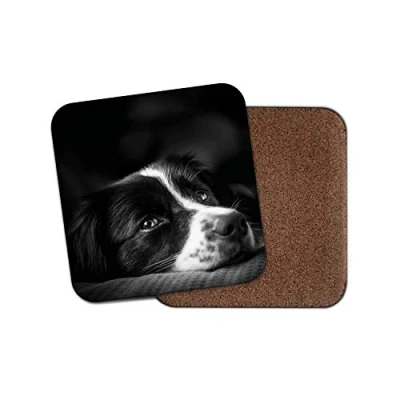 Image of 1 x Border Collie Drinks Coaster Puppy Dog Puppies Farm Sheep Fun #8639