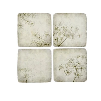Image of Cow Parsley Set Of 4 Coasters