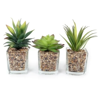 Image of BUZZ SET OF 3 Artificial Succulent/Cactus Houseplant in Clear Glass Plant Pot with Pebble Detail 18cm approx