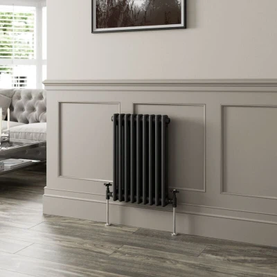Image of Park Lane Traditional Colosseum Double Bar Column Radiator Black 600 x 425mm