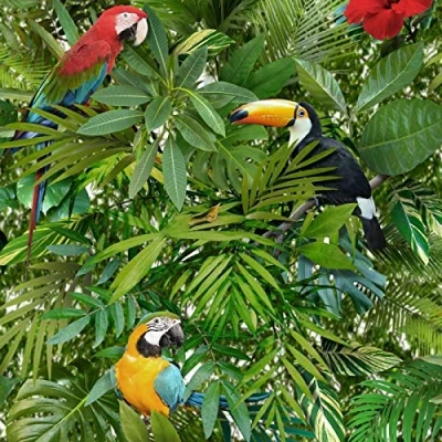Image of Muriva Tropical Bird Parrot Pattern Wallpaper Jungle Flower Leaves Vinyl L12304