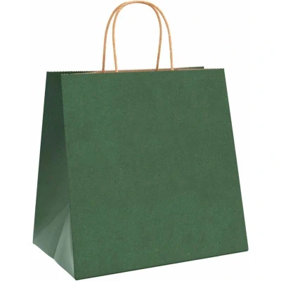 Image of vidaXL Paper Bags 50 pcs with Handles Green 26x17x25 cm