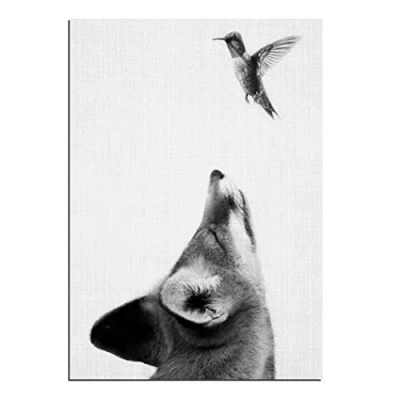 Image of Woodland Fox with Bird Canvas Wall Art Prints Oil Painting Wilderness Forest Animal Picture Print on Artwork Decoration for Bedroom Livingroom Gift