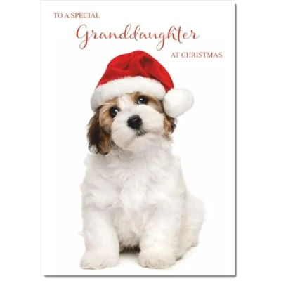 Image of doodlecards Granddaughter Christmas Card Dog and Santa Hat Medium Size for with Plain Envelope
