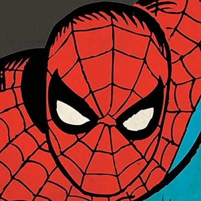 Image of Marvel Comics Spider Man Close Up Canvas, Polyester, Multi Colour, 40 x cm
