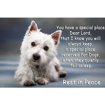 Image of Westie West Highland White Terrier Fridge Magnet pet bereavement memorial gift