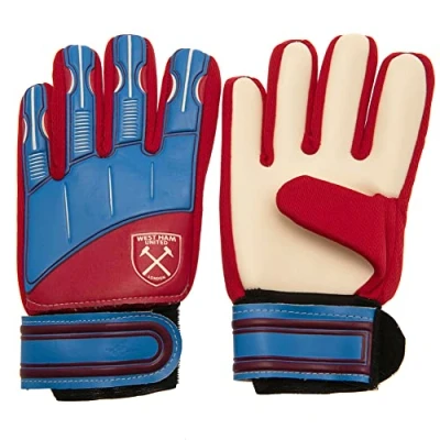 Image of Tottenham Hotspur F.C. Spurs DELTA Goalkeeper Gloves Youth (Size 7)