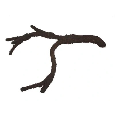 Image of Komodo Tropical Vine Branch, Small