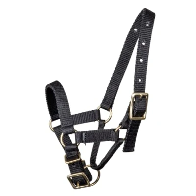 Image of WALDHAUSEN Alpaca Headcollar Size M Black