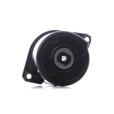 Image of 11287786880, 7786880 Tensioner Lever, v ribbed belt INA 534 0170 10 BMW: 3 Coupe, Saloon, 7