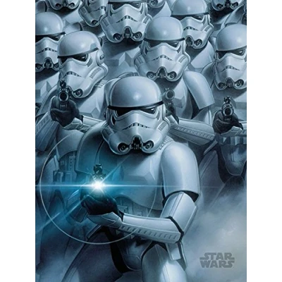 Image of Pyramid International Star Wars (Stormtroopers) 30 x 40cm Canvas