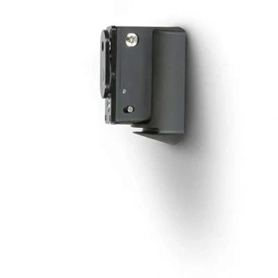 Image of Bluesound WM100