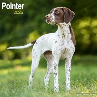 Image of Pointer Calendar 2026