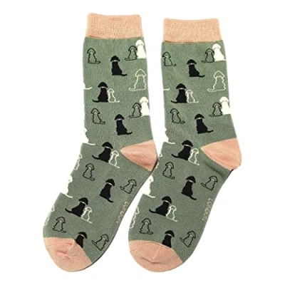 Image of Retriever Duck Egg Womens Novelty Ankle Socks Adult One Size