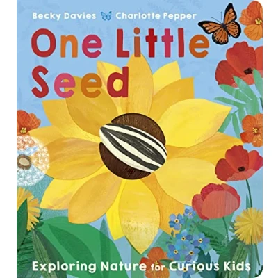 Image of One Little Seed