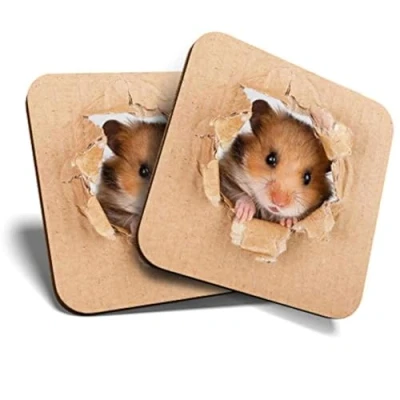 Image of Great Coasters (Set of 2) Square/Glossy Quality Coasters/Tabletop Protection for Any Table Type Cheeky Hamster Animals Pets Cute #8521