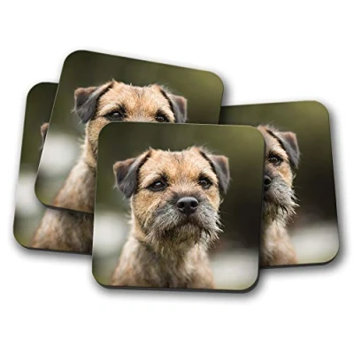 Image of 4 Set Border Terrier Coaster Dog Puppy Cute Cheeky Kids Animals #15940
