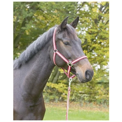 Image of Kerbl Hippo Head Collar Red, Size 3