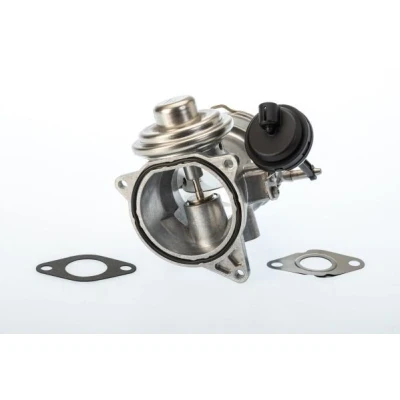 Image of 070128070C, 070128070F EGR valve WAHLER 7650D/1 Pneumatic with gaskets/seals VOLKSWAGEN: Touareg I