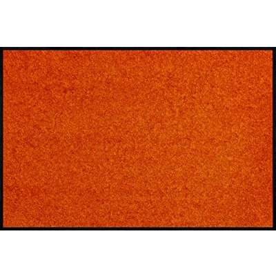 Image of wash+dry Doormat Burnt orange 60x90 cm