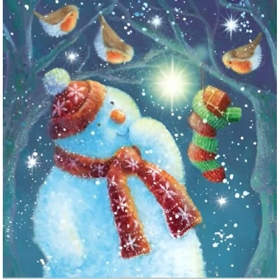 Image of Noel Tatt Charity Christmas Cards Pack of 10 with Robins and Snowman Design Eco Friendly Xmas Multipack Envelopes