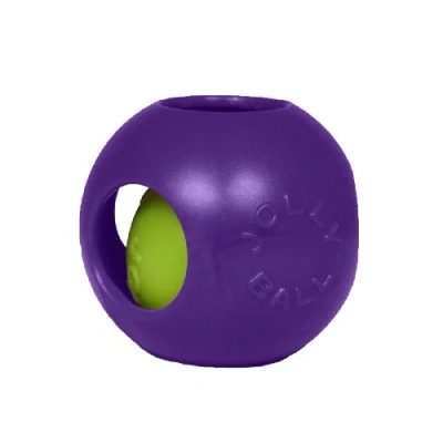 Image of Jolly Pets Teaser Ball Dog Toy, 20 cm, Purple