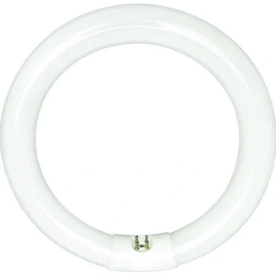 Image of Sylvania 20142 FC12T9/CW/RS 32 Watt T9 Cool White Circular Fluorescent Light Bulb, 12&quot; Diameter