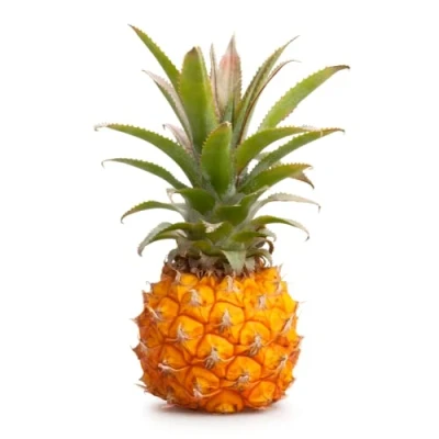 Image of Baby Pineapple 2 Units x 5 pack