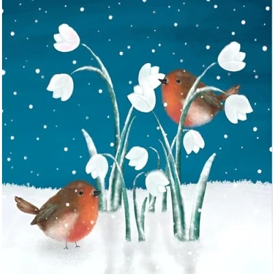 Image of Noel Tatt Charity Christmas Cards Pack of 10 with Artistic Robins and Flowers Design Eco Friendly Xmas Multipack Envelopes