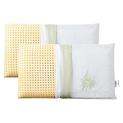 Image of EVERGREENWEB 2 Pack Memory Foam Pillow 40x70 High 18 cm Double Cover Aloe Vera and Cotton Removable for Cervical Spine Neck, Pain, Hypoallergenic, Anti dust mite