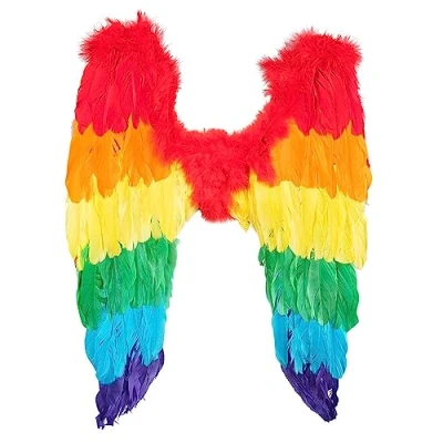 Image of Boland 52833 Angel Feather Wings, Rainbow, Folded, 50 x cm