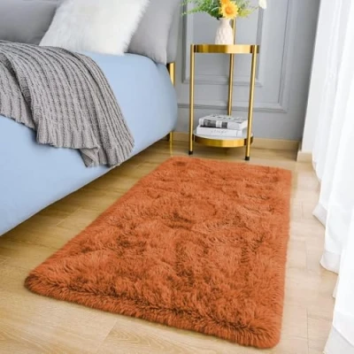 Image of MOONLIGHT20015 Rugs Living Room Fluffy Shaggy Small Area for Bedroom Anti Slip Modern Super Soft Thick Pile Rust Rug Plush Carpet Non Shedding Easy To Clean, 50cm x 80cm