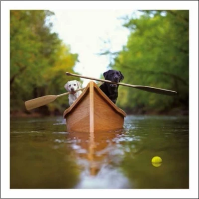 Image of Woodmansterne Loose Leashes Blank/Birthday Card Gently Down the Stream